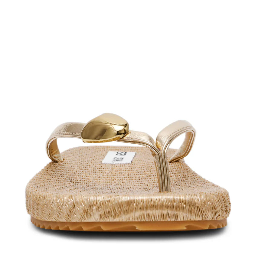 Surfup Gold