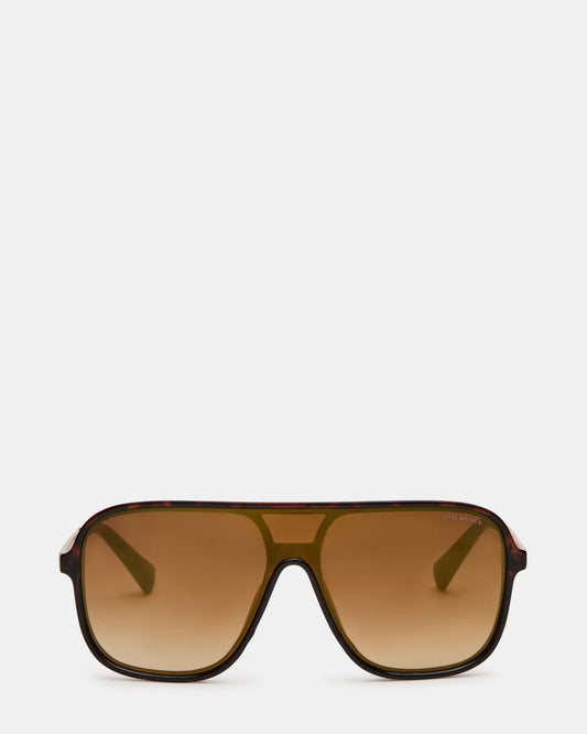 Óculos de Sol Harland Tortoise