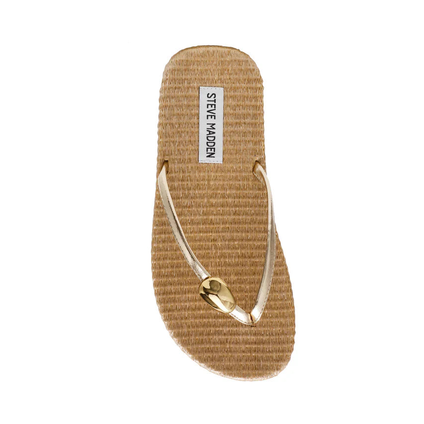 Surfup Gold
